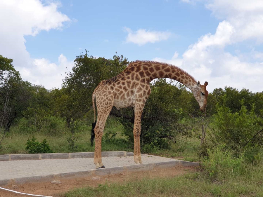 4 Bedroom Property for Sale in Brits Rural North West